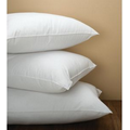 Cantfld Pillow Queen 31 Oz Cs Of 10